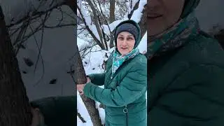 Такая маленькая, и такая мощная 🤩💪🏼Пила аккумуляторная ВБ: #WW267981OZON: #1990185136ЯМ: #4310025073