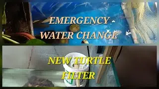 NEW TURTLE FILTER || EMERGENCY WATER CHANGE 🚨 || DIY || #aquarium #newfilter #redearedslider #pets