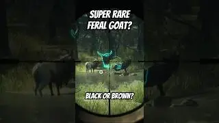 SUPER RARE FERAL GOAT? The Hunter: Call of the Wild