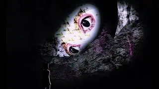 Cave video 2