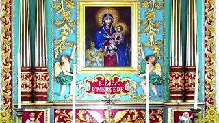 31 DECEMBER 2025 - 11.30PM || LIVE HOLY MASS  ||  VALLARPADAM SHRINE BASILICA