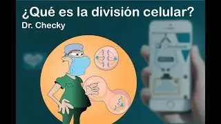 &iquest;Qu&eacute; es la divisi&oacute;n celular?