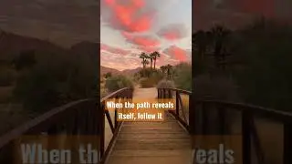 #shorts #motivation #dream #nature #believe #desert #sunset #travel #inspiration #sky #quotes #viral
