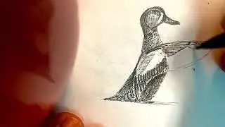 Coffee Doodle: Pre flight check. Teal Tuesday. Be nice to each other.