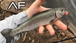 ARIZONA FISHING AT WOODS CANYON LAKE!!!