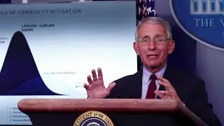 Go slow on easing coronavirus lockdown, experts advise U.S. authorities