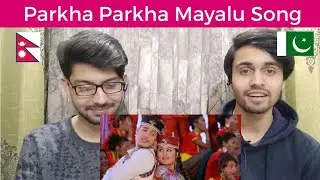 Pakistani Reaction On Nepali Song Parkha Parkha Mayalu