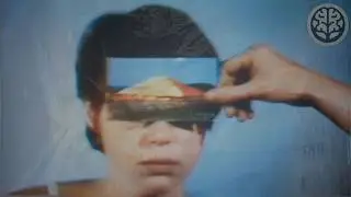 Why Looking Back Can Hurt