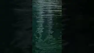 4300 50753
