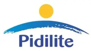 Success story of pidilite industry
