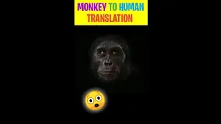 MONKEY TO HUMAN TRANSFORMATION ||  FACE TRANSFORMATION || YOUR HOST AK || AK FT தமிழ்