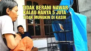 Berburu burung cendet impian
