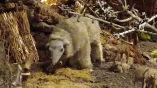 Presepe in movimento, Novoli (LE)