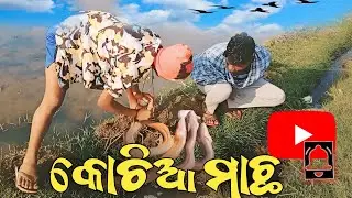 How To Catch Eel Fish || Kochia Machha || Eel Hunting By Hook  || କୋଚିଆ ମାଛ ଧରିବା  || Eel Trap