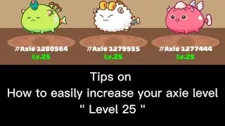 How to level up fast in adventure | Axie Infinity max level