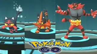 LITTEN  evolution into TORRACAT and INCINEROAR in Pokemon GO !!