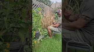 Game Changer for US Who Hurt When Gardening. Check this Out. || DHBG #gardeningtips
