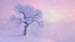 🎹 Peaceful Cello & Piano | Korean Winter Cafe 평화로운 첼로와 피아노 선율 | 아침의 잔잔함 l 한국의 겨울카페