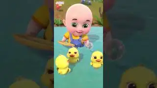 Five Little Ducks  +  Finger Family song and More Nursery Rhymes #shorts# shortfeed#viral