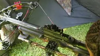 Teaching a 6 yr old to hunt with a crossbow.