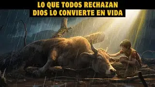 Esta HISTORIA Revela Cómo Una Vaca Vieja Despreciada Hizo Lo Impensable | Fe Y Esperanza