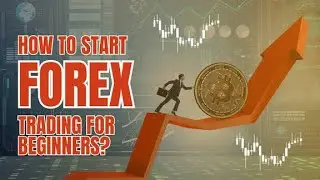 Forex Trading for Beginners Part 1 - Full Trading Course Tutorial