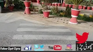 Quetta Roads Where Substandard colour Used for Zebra crossing