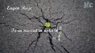 Eugen Ruje - Te-ai nascut in asta lume si va trebui sa pleci