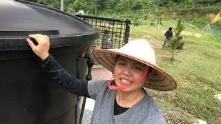 PART 2 CARA PENJAGAAN DAN PERAIRAN MUSANG KING