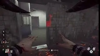 Late night DBD playing with viewers