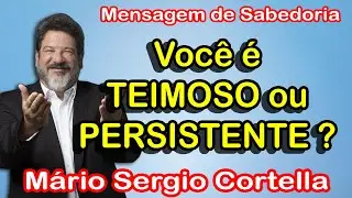 Voc&ecirc; &eacute; TEIMOSO ou PERSISTENTE - Palavras de Conforto - M&aacute;rio S&eacute;rgio Cortella