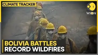 Bolivia wildfires: Farmers pack up and flee as wildfires burn forest | WION Climate Tracker