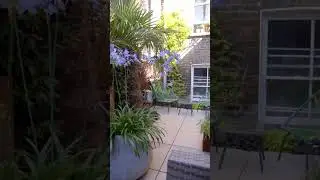 HACKNEY GARDEN DESIGN