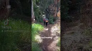 Healing Hikes #healing #hike #hiking #therapy #lovelife #love #nature #chakra #beautiful #fyp