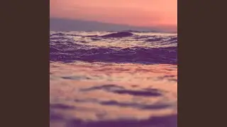 Haven