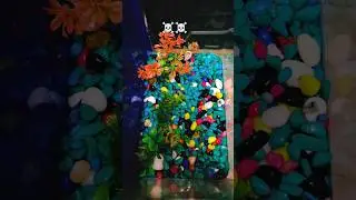 Aquarium Rock to Robot Transformation 🔥 | Cinematic VFX Short #dhurandhar