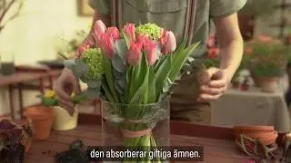 Tips: Kol + snittblommor = sant!