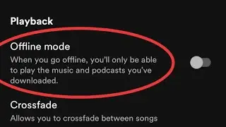Fix Spotify Not Playing Downloaded Songs Problem Solved 2024