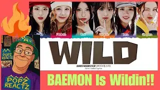 Pop/Country Vibes?? \ BABYMONSTER 'WILD' Lyrics \ Reaction!!