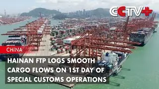 Hainan FTP Logs Smooth Cargo Flows on 1st Day of Special Customs Operations