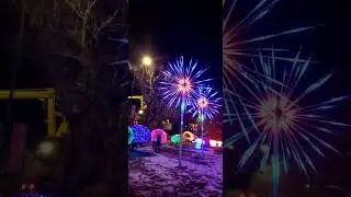 LED Firework light , waterproof for outdoor use. #ledchristmaslights #ledholidaylights