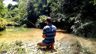 PERDANA !!! KEMBALI MANCING DI SUNGAI JERNIH PEGUNUNGAN | JUNGLE PERCH FISHING (17/09/22)