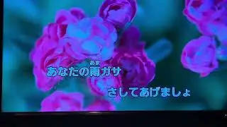 となりのトトロ カラオケ