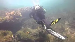 Ricketts Point 21 February 2016 (narrated)