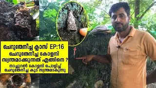 ചെറുതേനീച്ച ക്ലാസ് EP:16| Cherutheneecha Class EP:16 | Cherutheneecha colony engine swanthamakkaam ?