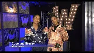Entrepreneurs, TV show hosts, and DJs Coco and Breezy on Statistics in Schools