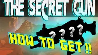 DESTINY | The Secret Gun! How To Get!