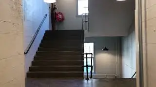 Big Orange Sheep   Entering Studio