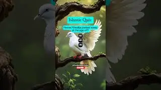 test your Islamic knowledge with simple quiz |#shorts #quiz #islamictest