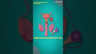 Viagra Ke Fayde Aur Side Effects | जानिए सच! 🔍 #shortsviral #healthtips #viralhealthtips
